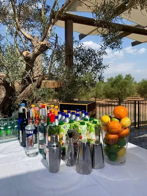 Zeytincik Ciftlik- 50 Doenuemluek Bahcedeki Tek Ev Villa Torbali