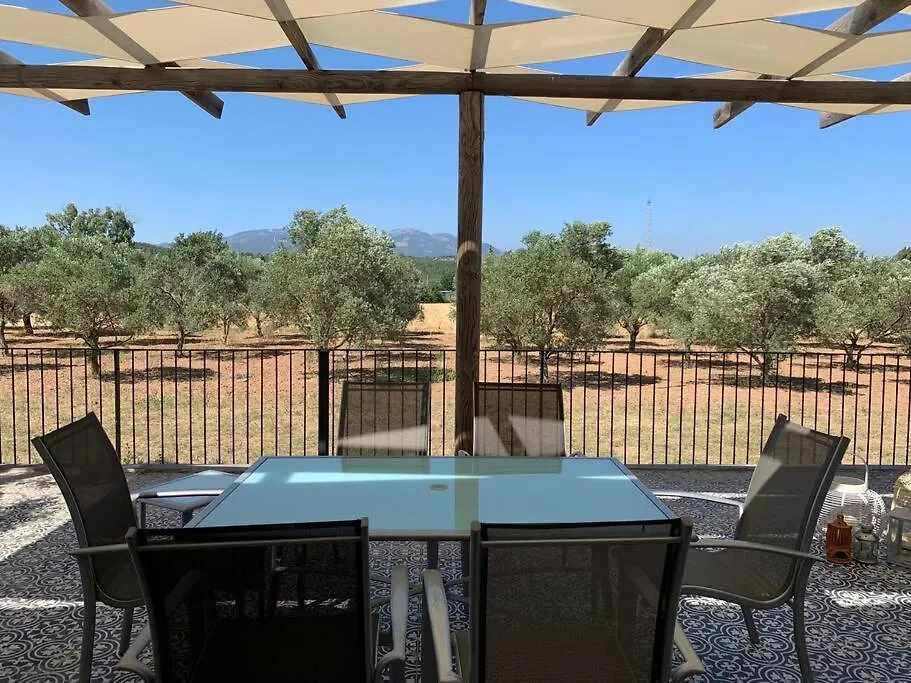 Zeytincik Ciftlik- 50 Doenuemluek Bahcedeki Tek Ev Villa Torbali Turkey