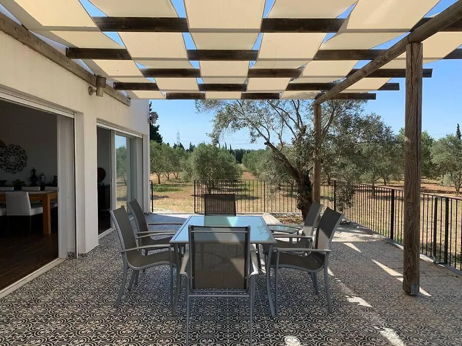 Holiday home Zeytincik Ciftlik- 50 Doenuemluek Bahcedeki Tek Ev Villa Torbali